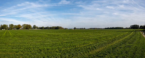 Fototapeta na wymiar HDR panorama photo of a green agricultural landscape with blue sky and white clouds
