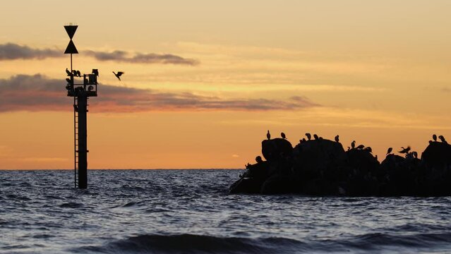 Beach At Sunset With Birds On Rocks And Sunset With Seagulls At Glenelg Beach Sunset