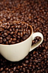 Freshly roasted coffee beans in a cup