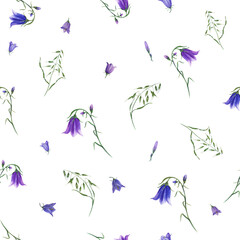 Floral seamless pattern of bluebells, wild oats isolated on white background. Watercolor hand drawn illustration for poster, scrapbooking, invitations, prints, wallpaper, fabric, textile, wrapping.