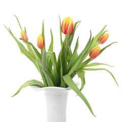 Ein Strauß Badische Tulpen