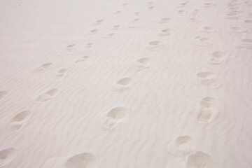 A view of footprints into the sand, seen at the White Sands National Park.