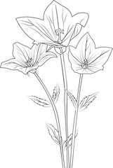 Cute flower coloring pages, bellflower drawing, Sketch bell flower drawing, Hand drawn botanical spring elements bouquet of violet line art coloring page, easy flower drawing. pansy flower art.
