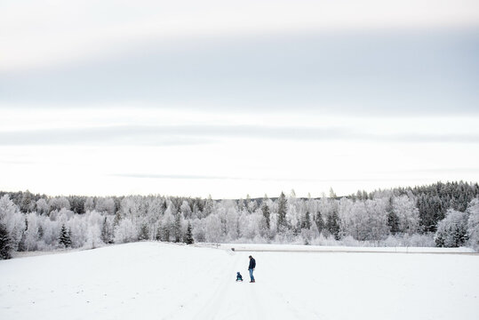 Father Son Walking Sledging In Snow White Forest Winter Wonderland