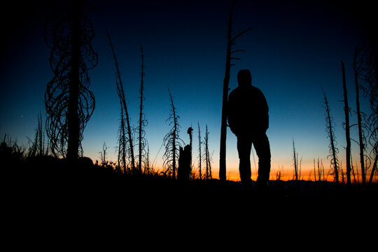 A silhouetted man watches the sun set in a burned forest in Montana.