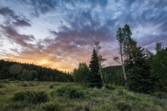 Landscape In The Lost Creek Wilderness