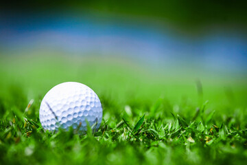 Golf ball in grass