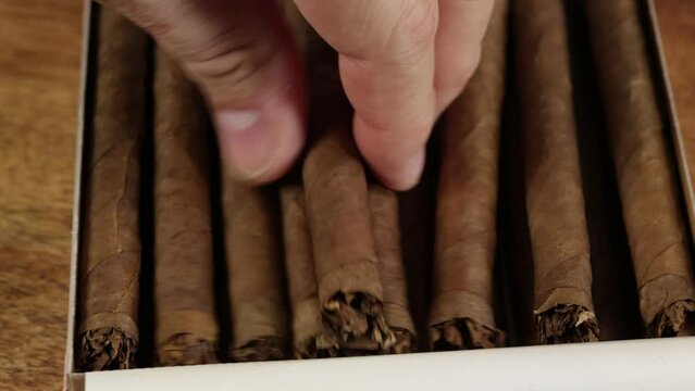 gros plan sur une main prenant un cigare dans une boite