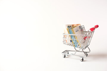 small shopping carts full of money on a white background