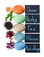 Easter eggs painted with natural dyes and labels on white background, top view. Onion, parsley, tea, hibiscus, red cabbage used for coloring