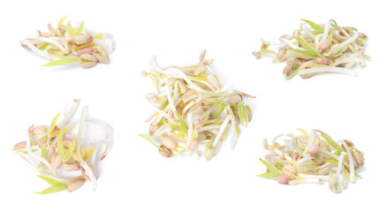 Many mung bean sprouts on white background