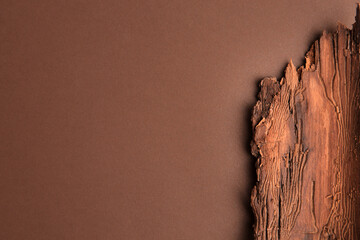 Tree bark piece on brown background, top view. Space for text