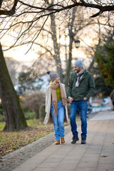 Obraz premium Romantic couple enjoying a walk in the park holding hands
