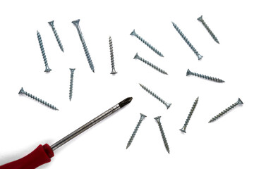 Screwdriver and a group of screws isolated on white, top view