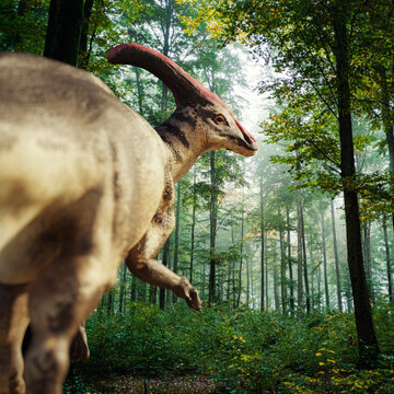 Parasaurolophus, dinosaur in a Late Cretaceous forest