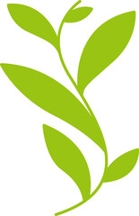green leaves and branch illustration