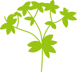 green leaves and branch illustration