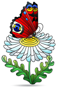 Illustrations in the style of stained glass with glass on flower and butterflie, figure isolated on a white background