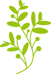 leaves and branch illustration