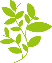 leaves and branch illustration