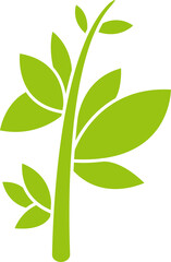 leaves and branch illustration