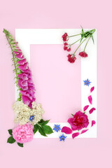 Wildflower herbal summer flower plant based medicine with valerian herb, rose, foxglove, elderflower, borage herbs used to treat a variety of illness. Abstract natural background border frame on pink.