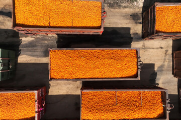 Trailers of Oranges and Tangerines citrus fruit parked in a storage facility