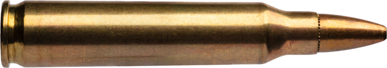AR-15 rifle ammo with a copper-jacketed hollow point bullet