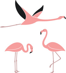 Flamingo logo. Isolated flamingo on white background - obrazy, fototapety, plakaty