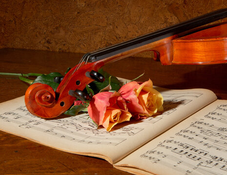Fiddle and roses