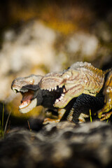 a couple of tyrannosaurus rex in the wild during the cretaceous