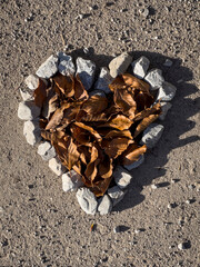 Heart shape laid with lime stones on the ground filled with autumn leaves as a symbol of love
