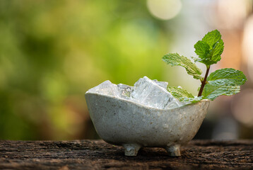 Kitchen mint branch green leaves and ices on nature background.
