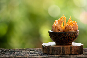 Dried mace on nature bokeh background.