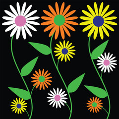 Colorful Daisy flowers pattern on black background. Vector illustration for your design