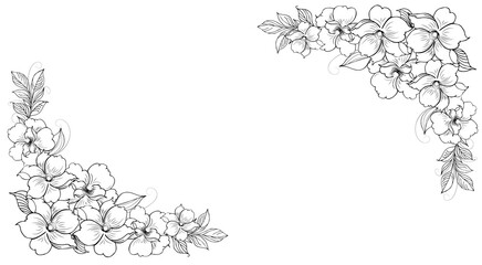 Gentle floral background from flower branches and buds, flower arrangement. Hand drawing. For stylized decor, invitations, cards, posters, flyers, backgrounds, as clipart