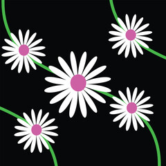 Seamless pattern with daisies on a black background