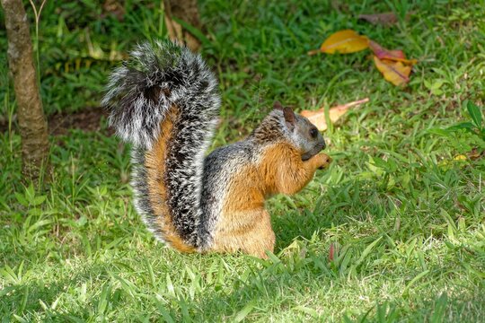 Bunth&ouml;rnchen