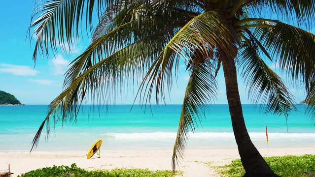 Palm trees. Coconut palm tree. Sun sky clouds. Sand desert. Wave sea. Beach holiday background. Palm seaside resort. Text insert space.
