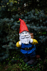 small dwarf with red cap and long gray beard