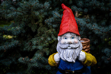 small dwarf with red cap and long gray beard