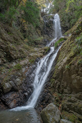 Obraz premium 雨乞いの滝