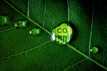 CO2 reducing icon on green leaf with water droplet for decrease CO2 , carbon footprint and carbon...