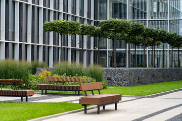 Perspective view of paved path with green lawn, decorative grass and modern wooden benches in front...