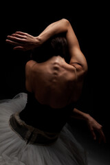Half silhouette modern ballet dancer. Balerina posing on dark background © Nikola Spasenoski
