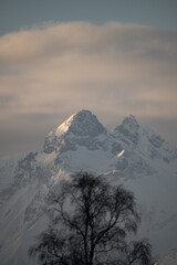Alpen mit einem Baum im Vordergrund, Bild von Schöllang aus aufgenommen Motiv I vertikal