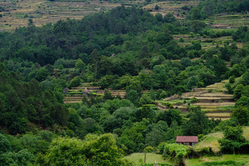 Fototapeta na wymiar Agricultural terraces in Sistelo Village in Arcos de Valdevez, Portugal (famous Tibet style landscape view). Rural tourism and relaxing with nature. One of the most beautiful villages in Portugal 