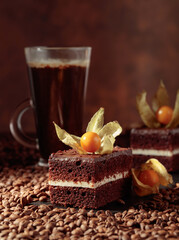 Chocolate cake with physalis.
