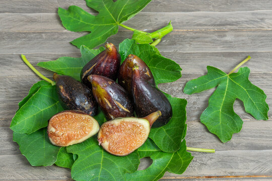 organic breba picked from the tree