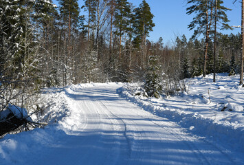 Plowed narrow road through the forest in winter
